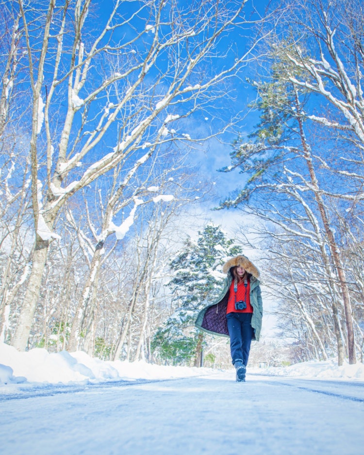 [画像1]広島県　廿日市市　もみの木森林公園(広島県のおすすめスポット)#もみの木森林公園 👈 氷の道を歩きながらポトレで一枚📸今年はなかなか雪が降らずでしたがやっと雪の撮影が出来ました。 木々の枝に積もった雪
