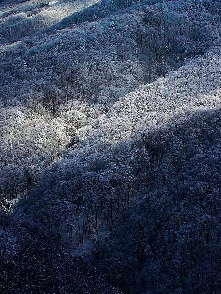 [画像1]光と影に覆われた蔵王山の雪景色。冬のアクティビティに理想的な場所です。蔵王山のロープウェイから撮った写真です