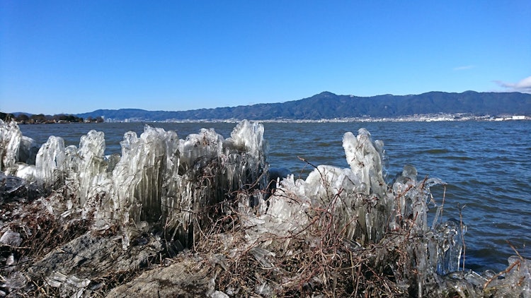 [相片1]這是我在琵琶湖長大半個多世紀以來第一次看到琵琶湖的冰花。 北湖屬於亞北極區，所以說是冬季傳統，但這種現象在屬於溫帶的南湖很少發生，碰巧開車路過的時候，以為塑膠袋在岸邊沒完沒了地衝上岸，但是當我走近時，