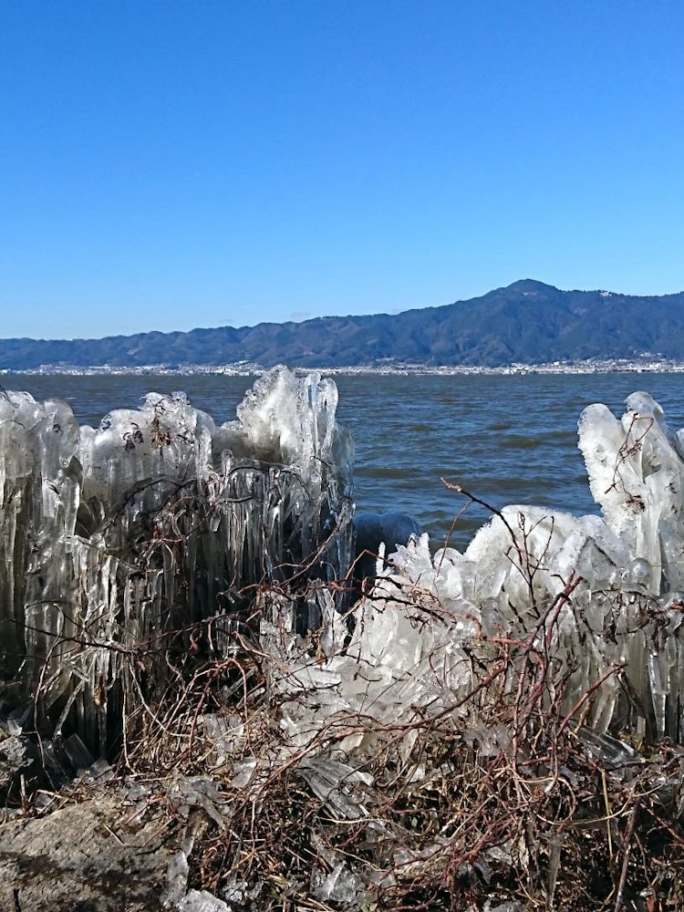 [Image1]This is the first time I have seen splashed ice at Lake Biwa Konan in more than half a century since