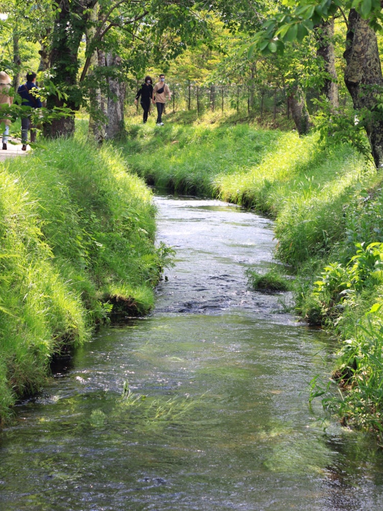 [이미지1]야마나시현오시노 핫카이매우 깨끗한 물과 녹지가있는 곳