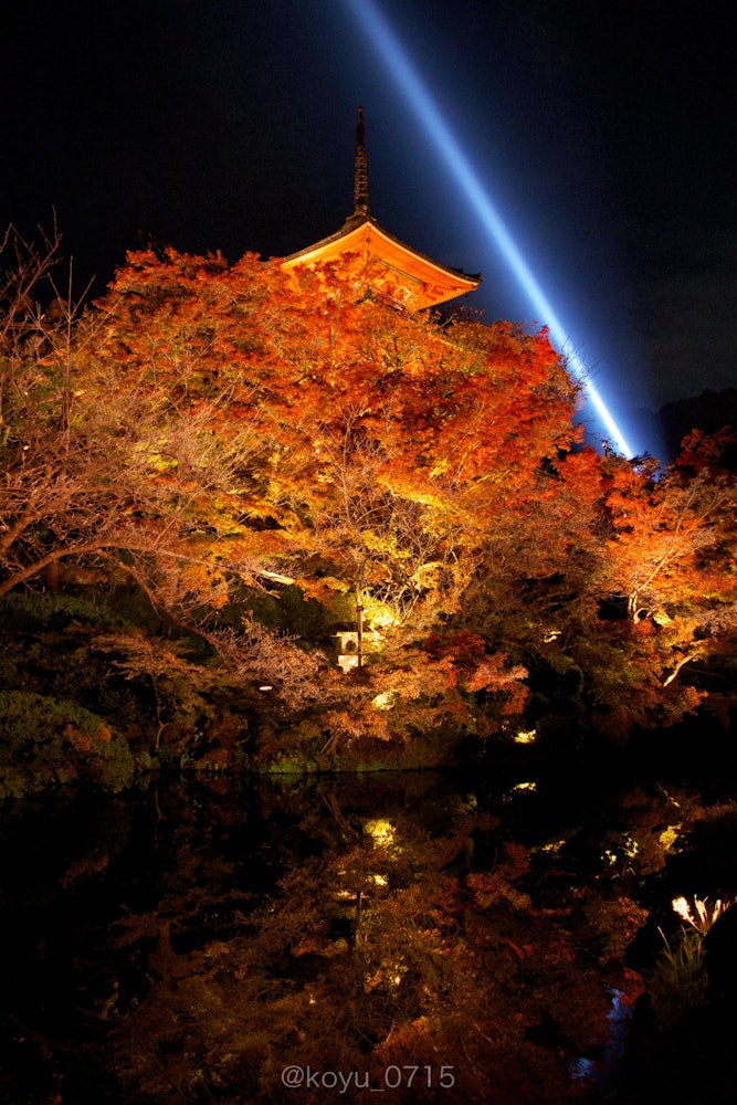 [相片1]“清水寺三重塔”地点： 1-294 Shimizu， Higashiyama-ku， Kyoto-shi， Kyoto时间：2023年11月在红叶季节被点亮的清水寺是一个绝佳的景色。我能够成功地表达秋