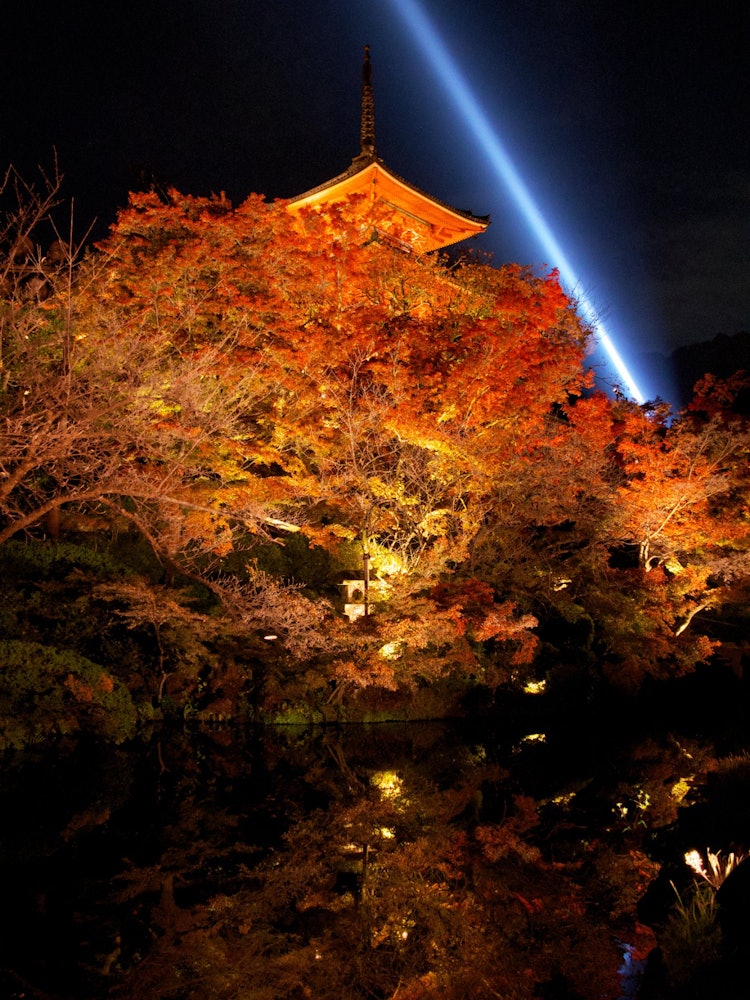 [相片1]“清水寺三重塔”地點： 1-294 Shimizu， Higashiyama-ku， Kyoto-shi， Kyoto時間：2023年11月在紅葉季節被點亮的清水寺是一個絕佳的景色。我能夠成功地表達秋