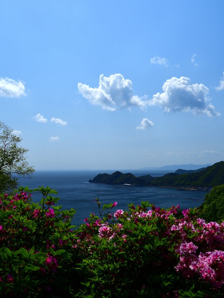 [相片1]从爱媛县的隐藏村眺望就像名字一样，这是一个除非你知道，否则你无法分辨入口的地方，但是祖父精心雕刻和创造的花园是宁静的，非常治愈。
