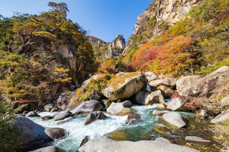 [画像1]こんにちは！ 昇仙峡観光協会です。国の特別名勝に指定されている山梨県昇仙峡（しょうせんきょう）は、長きにわたって自然が育んできた「日本一の渓谷美」と言われています。自然が作り上げた芸術品と言っても過言