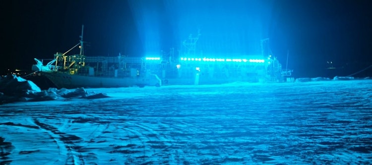 [相片1]它是青森縣八戶市立花碼頭早市的場地。立花漁港。我在立花漁港看到的漁船很漂亮，藍色的燈光！
