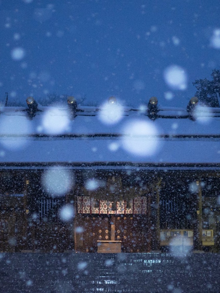 [画像1]雪降る北海道神宮札幌の円山にある「北海道神宮」ここは年間を通し沢山の人が参拝に訪れる由緒ある神宮です境内の景色はその季節によって姿を変えます春は桜や梅、夏は新緑、秋は紅葉、冬は雪と今回は羽の様な雪が降