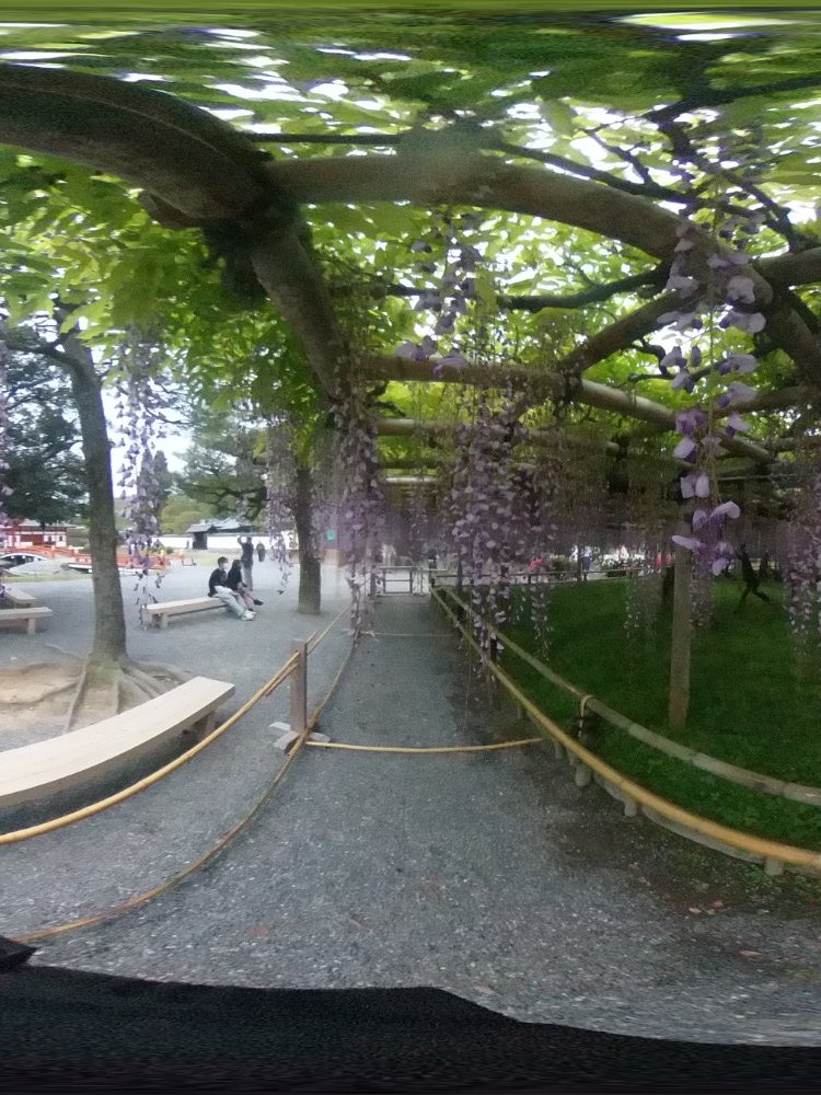 [相片1]京都府宇治市平等院的360度拍攝有。
