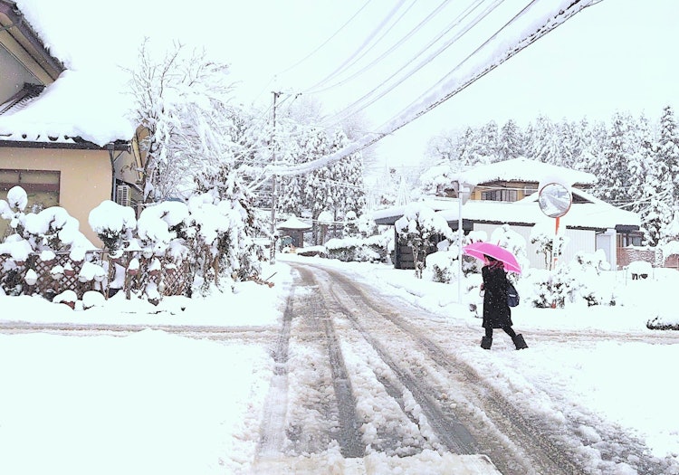 [画像1]冬の色富山県 2020