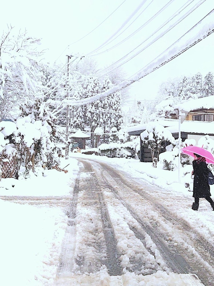 [Image1]A Color of WinterToyama 2020