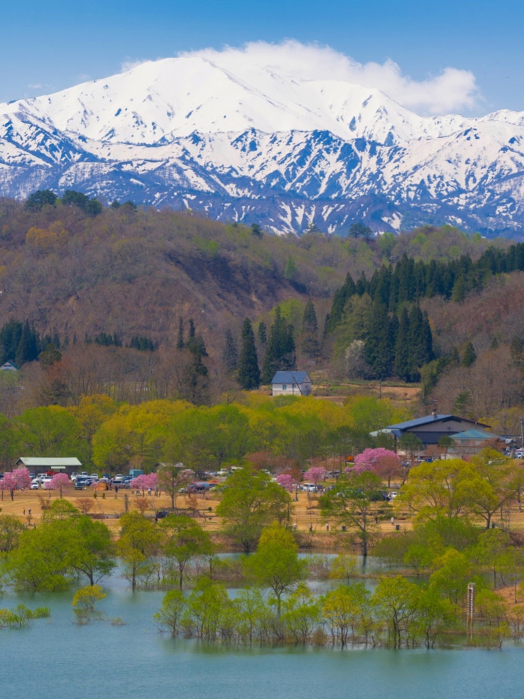 [Image1]It is a photo where you can feel the change of seasons in Japan, where the cherry blossoms at the fo