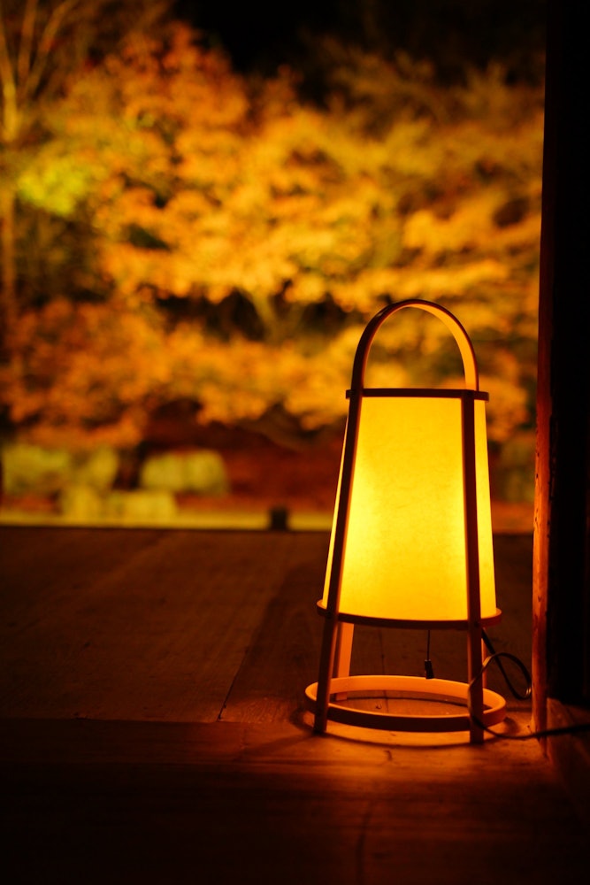 [相片1]打开阳台上的灯，欣赏红叶