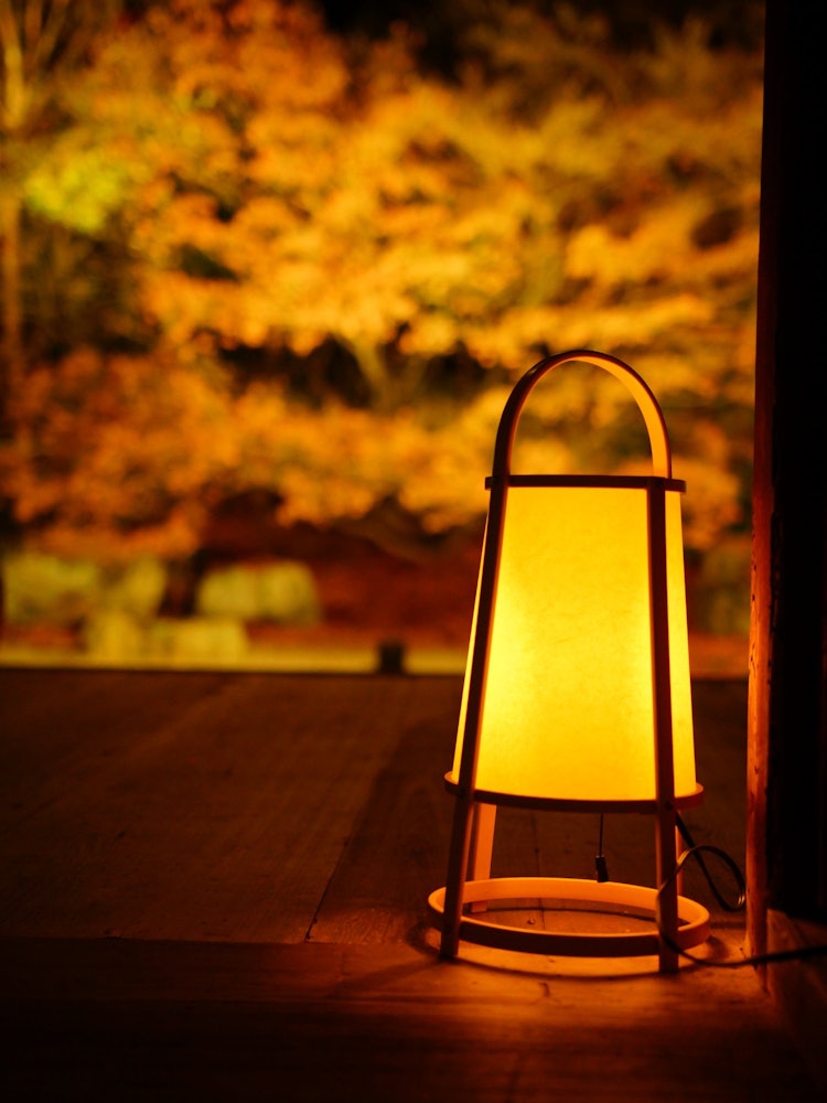 [Image1]Turn on the lights on the veranda and enjoy the autumn leaves