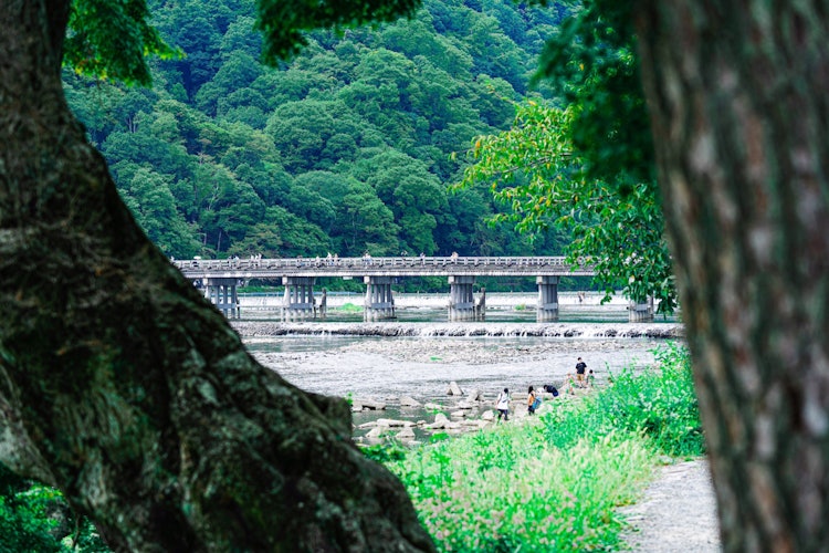 [相片1]京都嵐山渡月橋