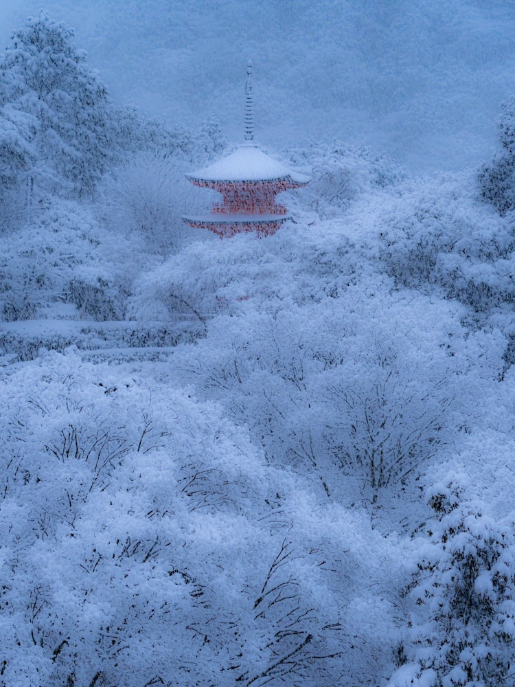 [相片1]清水寺雪景 京都五年来首次遭受大雪袭击。