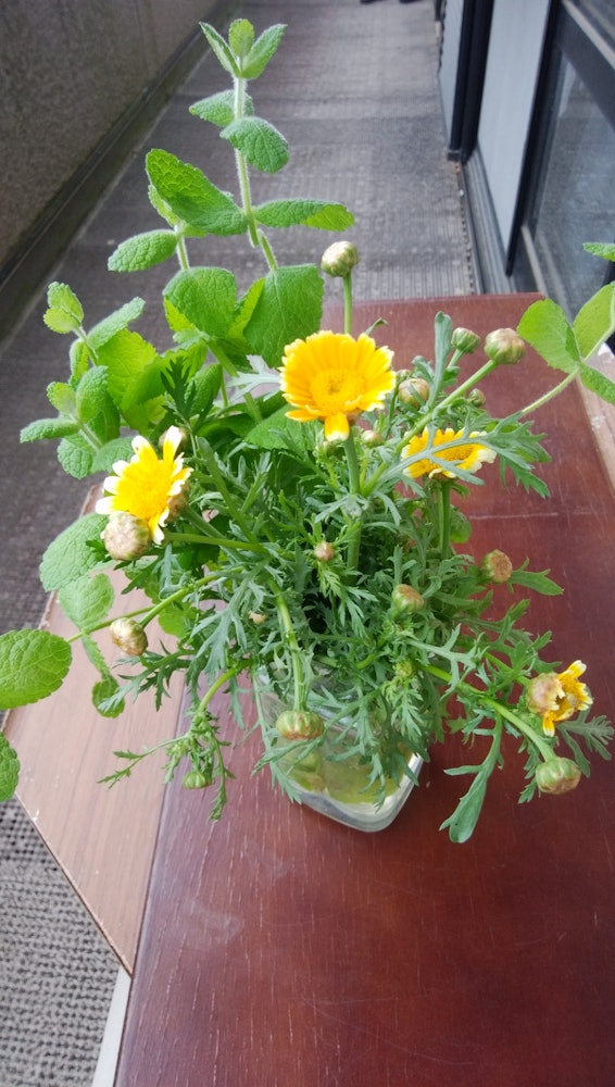[Image1]I used herbs apple mint and chrysanthemum flowers. It has a wonderful aroma.