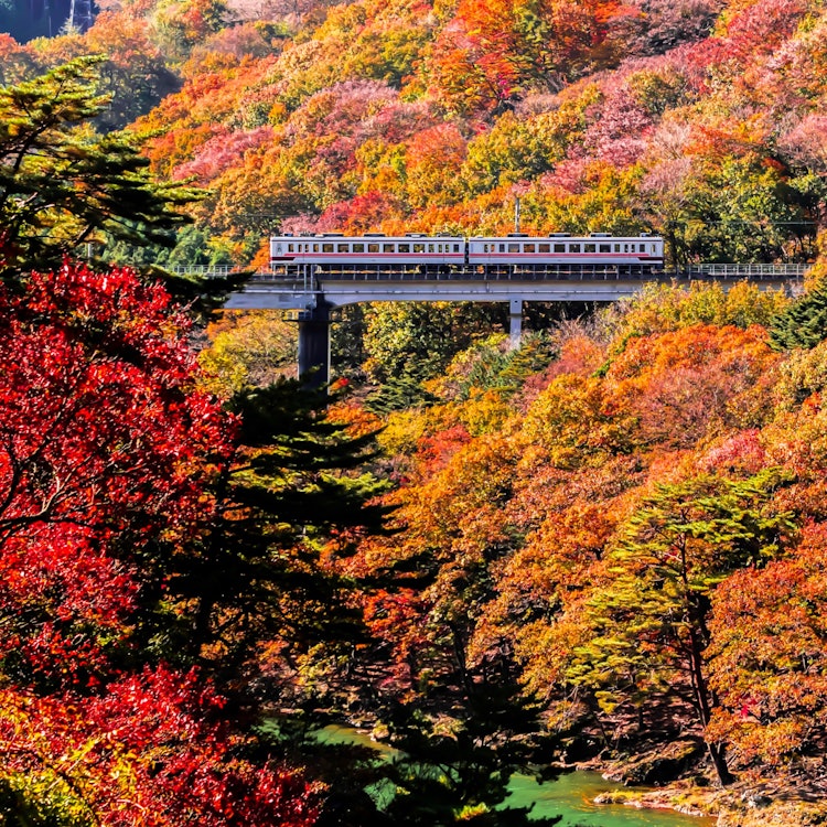 [Image1]It is a Tobu railway that runs near Kawaji Onsen in Nikko, Tochigi Prefecture.Beautiful autumn leave