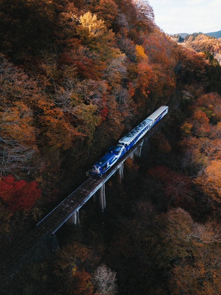 [Image1]Autumn leaves and Okuizumo Orochi-go.This sightseeing train connecting Kitsugi Station and Bingo-Och
