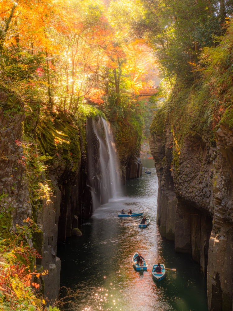 [Image1]Takachiho Gorge in AutumnThe autumn leaves are in full bloomThe autumn leaves shining in the morning