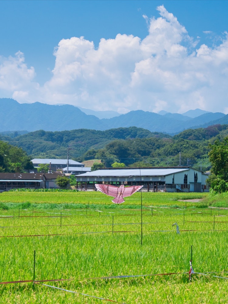 [Image1]Rural scenery of Atsugi City, Kanagawa PrefectureIt is an original scenery that makes you feel very 