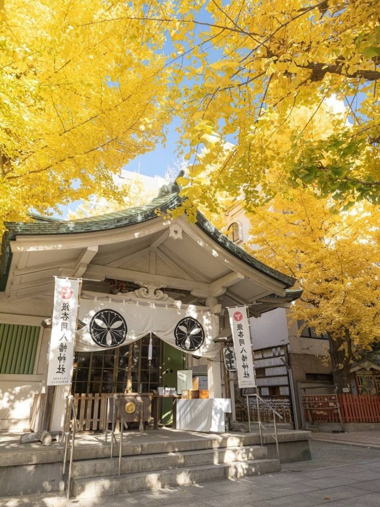 [Image1]Gingko Shrine that suddenly appearsThis one is located in Tokyo　　　　　　　　