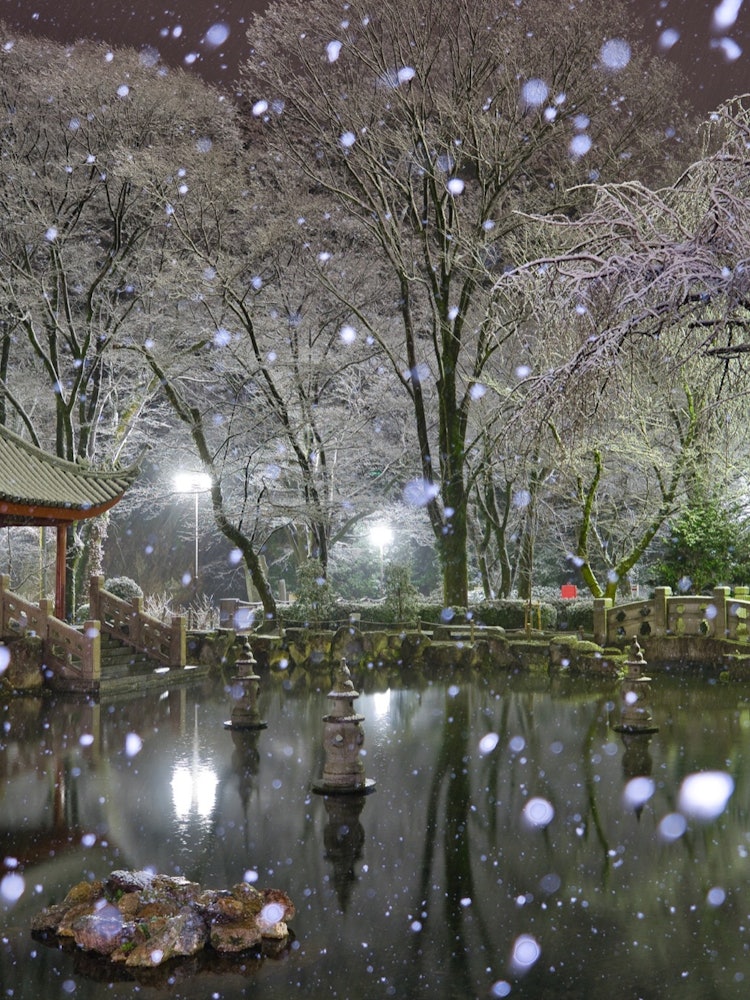 [Image1]Gifu Park Japan-China Friendship Garden Snow Scenery ❄️In 1989, Gifu City and Hangzhou City, People'