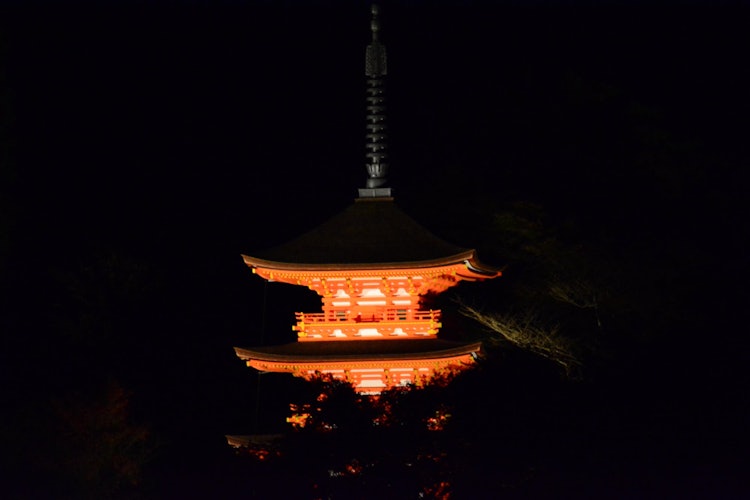 [相片1]我剪掉了夜景。這是京都清水寺在紅葉季節的點燈活動。在黑暗中出現的塔的印象是神秘而美麗的。像這樣的導演行為。 酷日本。