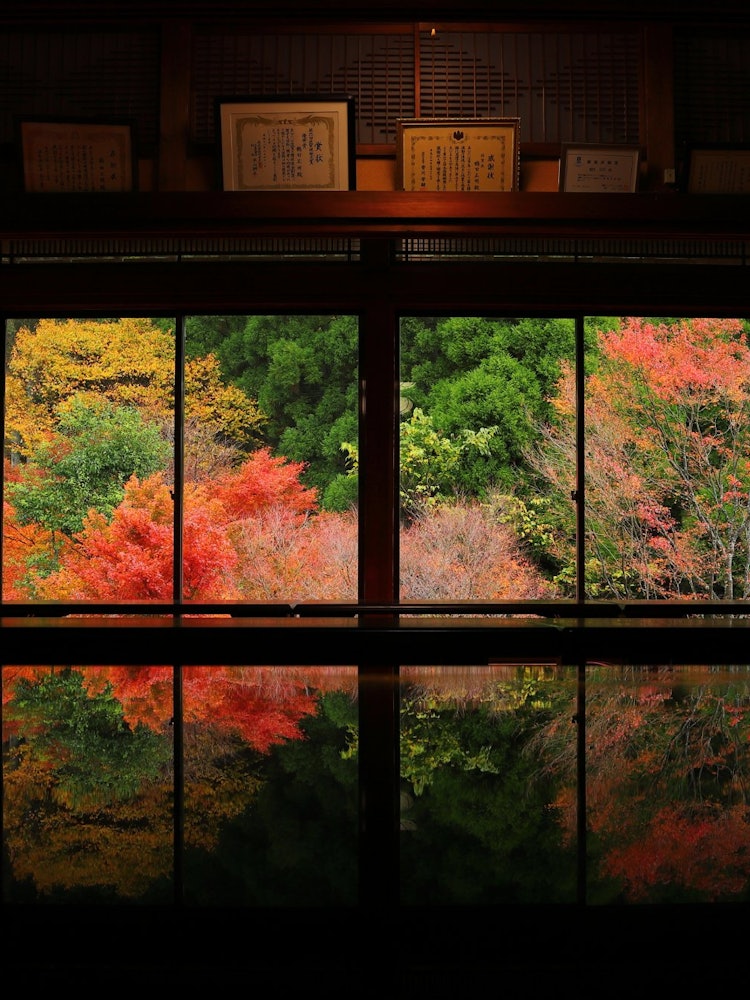 [Image1]Saga Prefecture's Environmental Art Forest!A superb view that can be seen reflected on the lacquer t