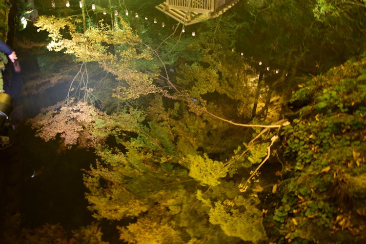 [이미지1]시가현 이시야마지 사원 연못에 비친 단풍