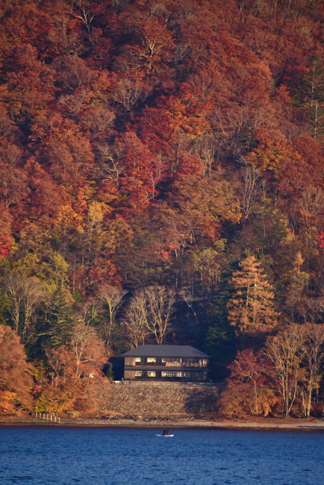 [相片1]秋天森林中的孤獨房子。團結之美。這座孤獨的房子在充滿鮮豔色彩的森林中看起來令人驚歎。這極大地代表了日本的美麗。這張照片拍攝於日光中禪寺湖。