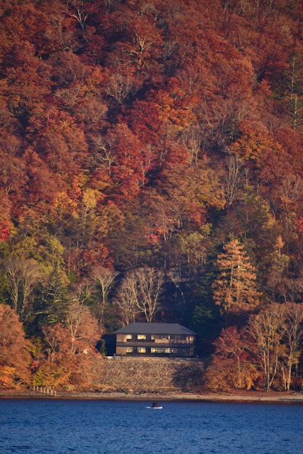 [画像1]秋の森の中の孤独な家。連帯の美しさ。この孤独な家は、鮮やかな色でいっぱいの森の真ん中に見事に見えます。これは日本の美しさを大きく表しています。この写真は日光の中禅寺湖で撮ったものです。