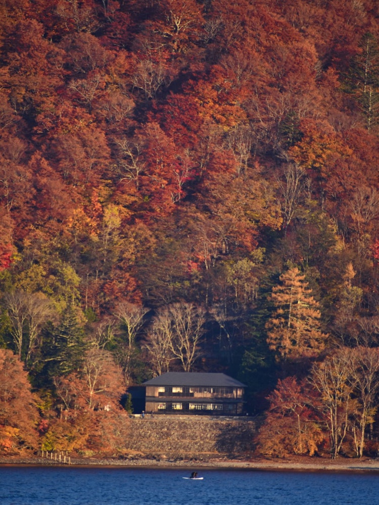 [Image1]A lonely house in autumn forest. The beauty of solidarity. This lonely house looks stunning in the m