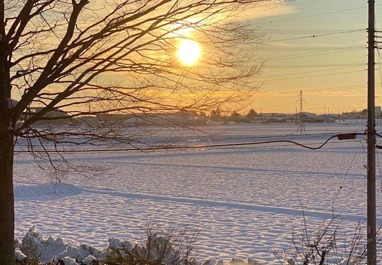 [相片1]落下的雪隨著溫暖而鬆動，稻田變得起伏不平。 雪間稍縱即逝的夕陽。 預計從明天開始會有寒潮。