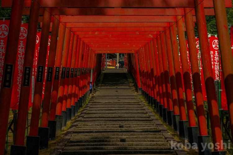 [相片1]兵库县丹波筱山市失去Kirai Inari如果你爬上丹波筱山和王子山的红色鸟居（神社大门）门的石阶，你会发现平右卫门稻荷祠堂供奉在道孝（相扑环）上，被称为“Makekirai Inari”。 人们普遍