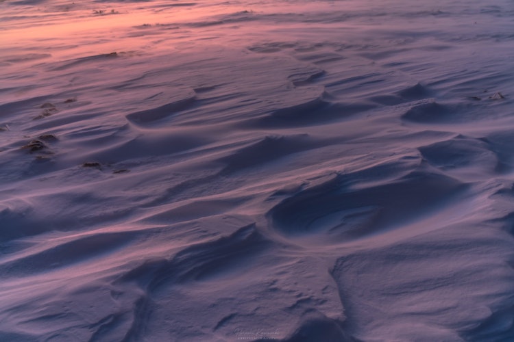 [相片1]染色什卡布拉在宇久志原高原。在一个寒冷的早晨，新雪在强风中爬行，冬天的艺术被染得很漂亮。