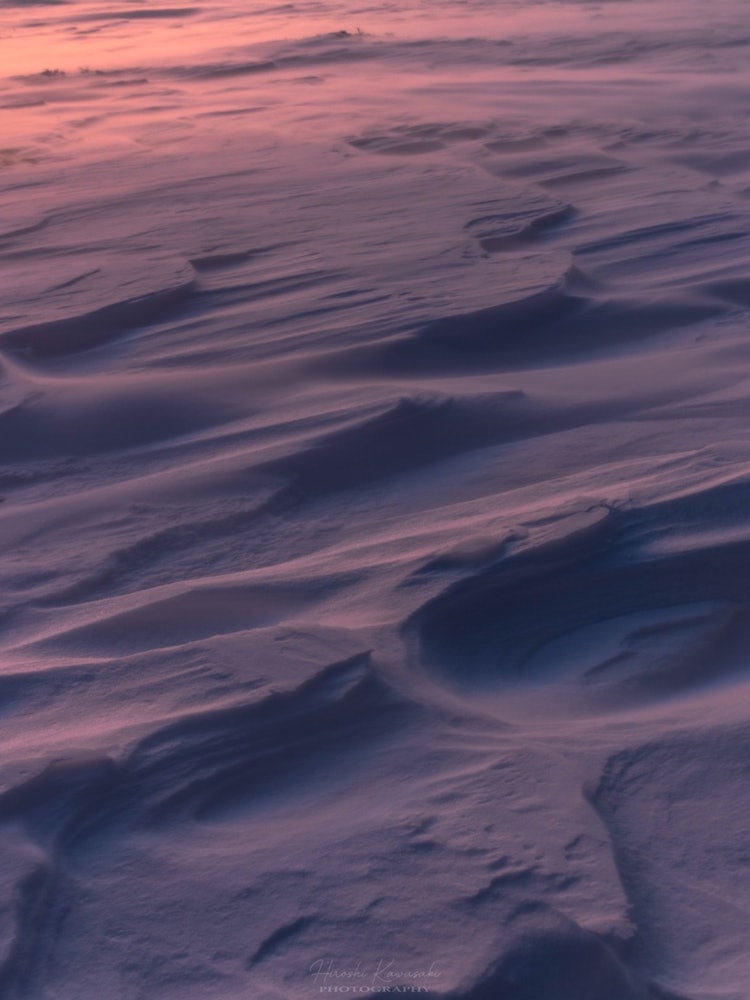 [画像1]染まるシュカブラ美ヶ原高原にて。極寒の朝、新雪が強い風で這うように舞う中、綺麗に染まる冬の芸術。