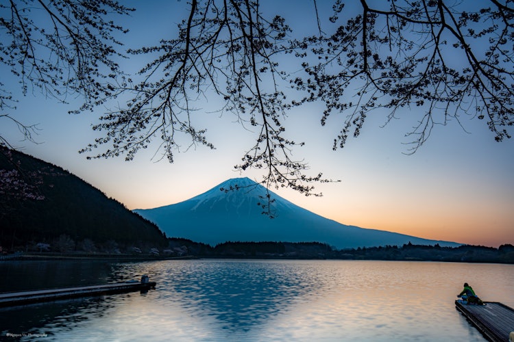 [相片1]日本的自然風光日出、富士山和櫻花之間的合作2022.4.9 淩晨5點左右在靜岡縣日出時的富士山。 能夠拍攝我一直想看的風景真是太好了。我能夠接受櫻花和富士山之間的精彩合作。