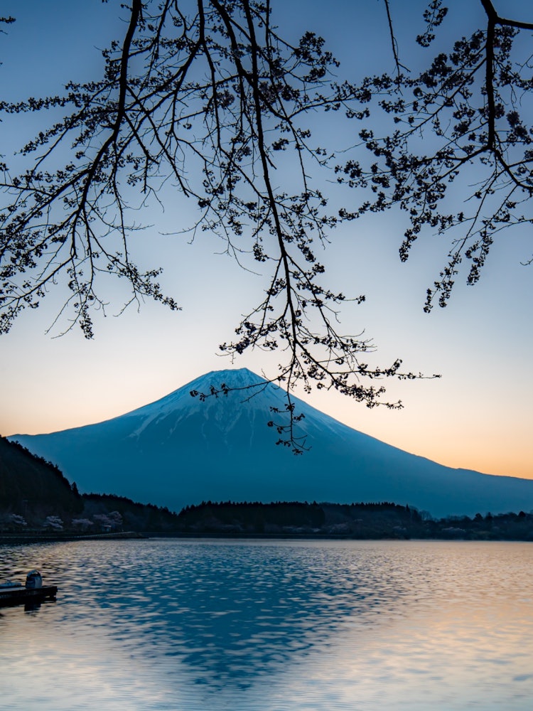 [Image1]Nature in JapanCollaboration between sunrise, Mt. Fuji and cherry blossoms2022.4.9 around 5 a.m.In S