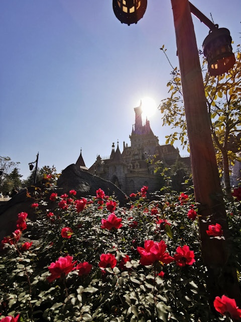 [Image1]TDL's Beauty and the Beast Castle 💖