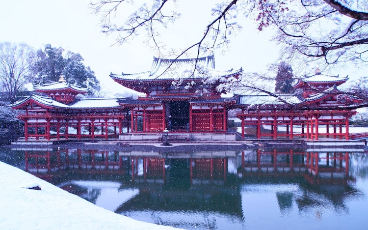 [相片1]它是京都宇治的「平等院鳳凰堂」。白雪皚皚的景色也很美。