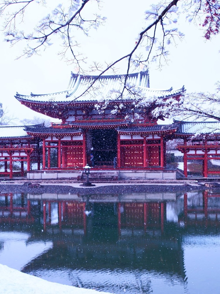 [画像1]京都の宇治「平等院鳳凰堂」です。雪景色もとても綺麗です。