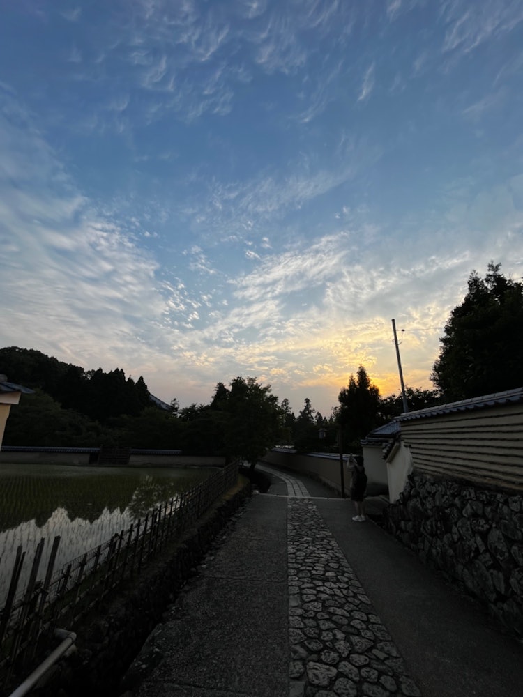 [画像1]奈良、東大寺二月堂の帰り道。 稲が植えられ始め、初夏を感じます。