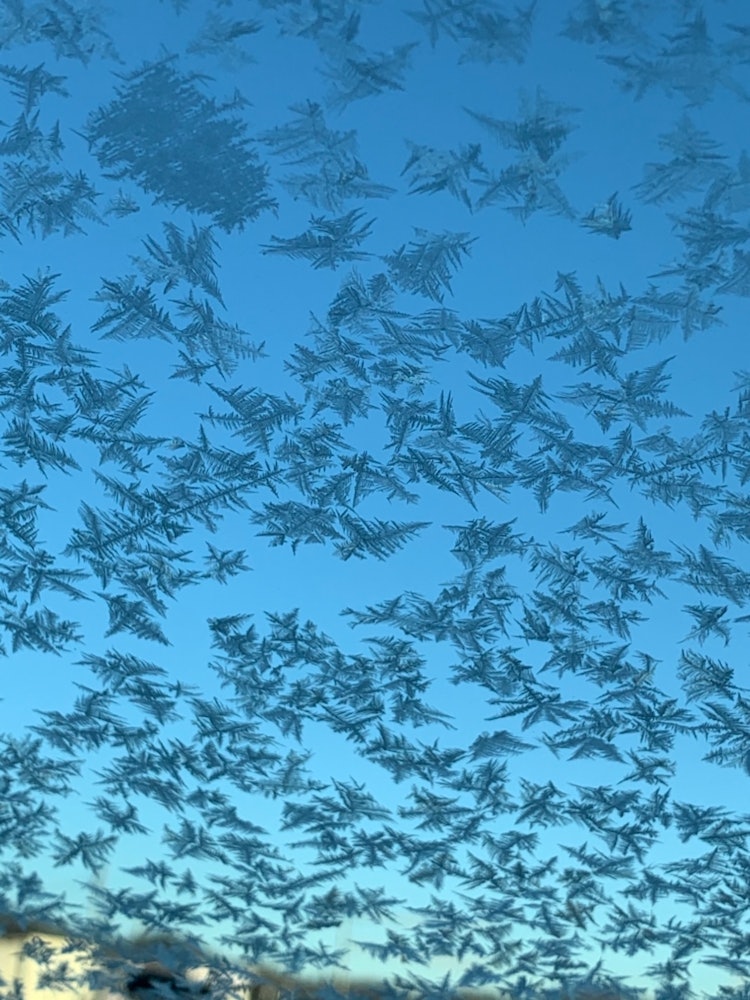 [이미지1]영하의 추운 아침, 자동차 앞 유리에서이상한 모양의 얼음 결정을 보았고, 그 모습을 촬영해 보았습니다 (^-^)배경의 푸른 하늘은 마치 바다에있는 것처럼 신비하고 낭만적✨이었습니다