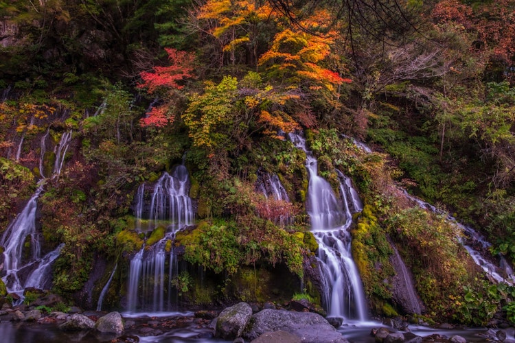 [相片1]这是清里高原和虎龙瀑布的秋景。