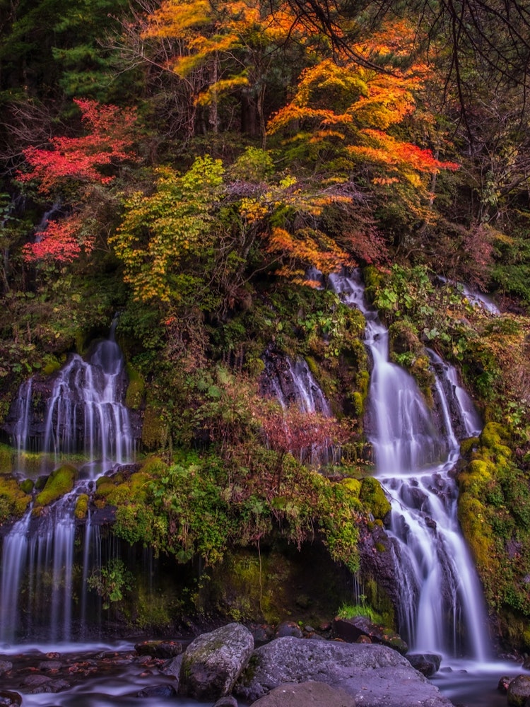 [画像1]清里高原、吐竜の滝の秋の景色です。