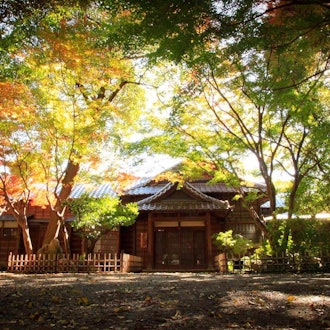 [画像2]地元、群馬県館林市にある旧秋元別邸の紅葉が色づき始め陽の光が一瞬だけ入った所を撮影しました📸グラデーションが綺麗です。