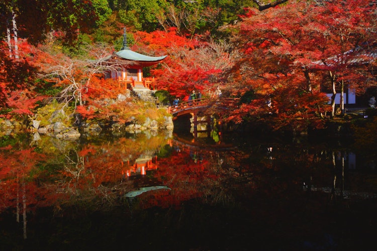 [相片1]它是京都的醍醐寺。弁天和秋叶倒映在池塘中，非常漂亮。