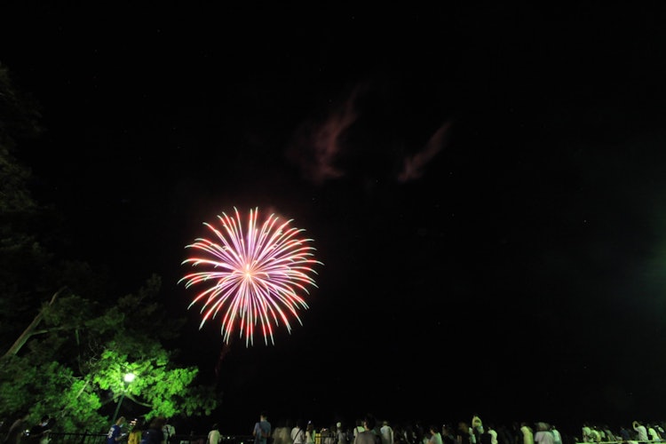 [이미지1]도이, 이즈, 시즈오카도이 여름 축제3일 연속 토이 하늘에서 춤추는 불꽃놀이