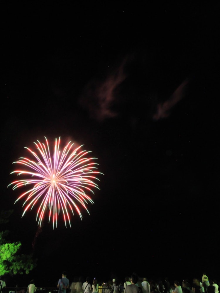 [相片1]土井， 伊豆， 静冈土井夏日祭典烟花连续三个晚上在土井天空中翩翩起舞