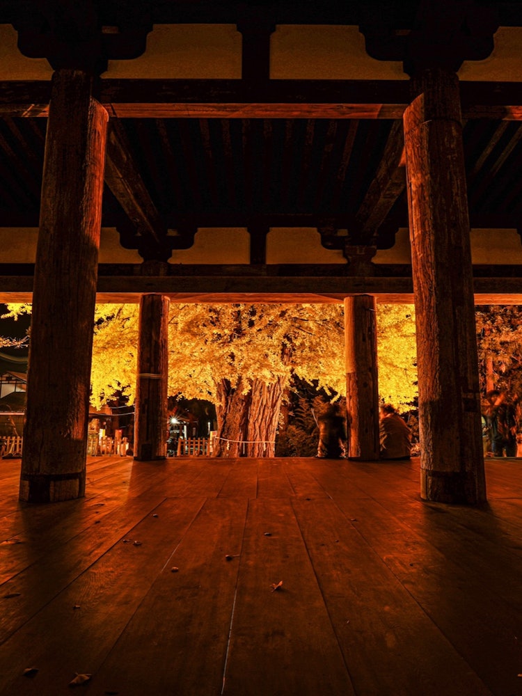 [Image1]Autumn leaves on the floor of President Shingu Kumanojin.
